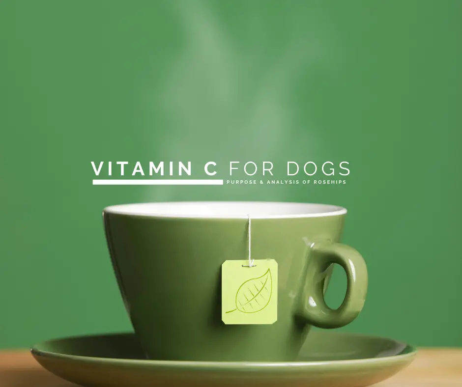 Vitamin C and Dogs
