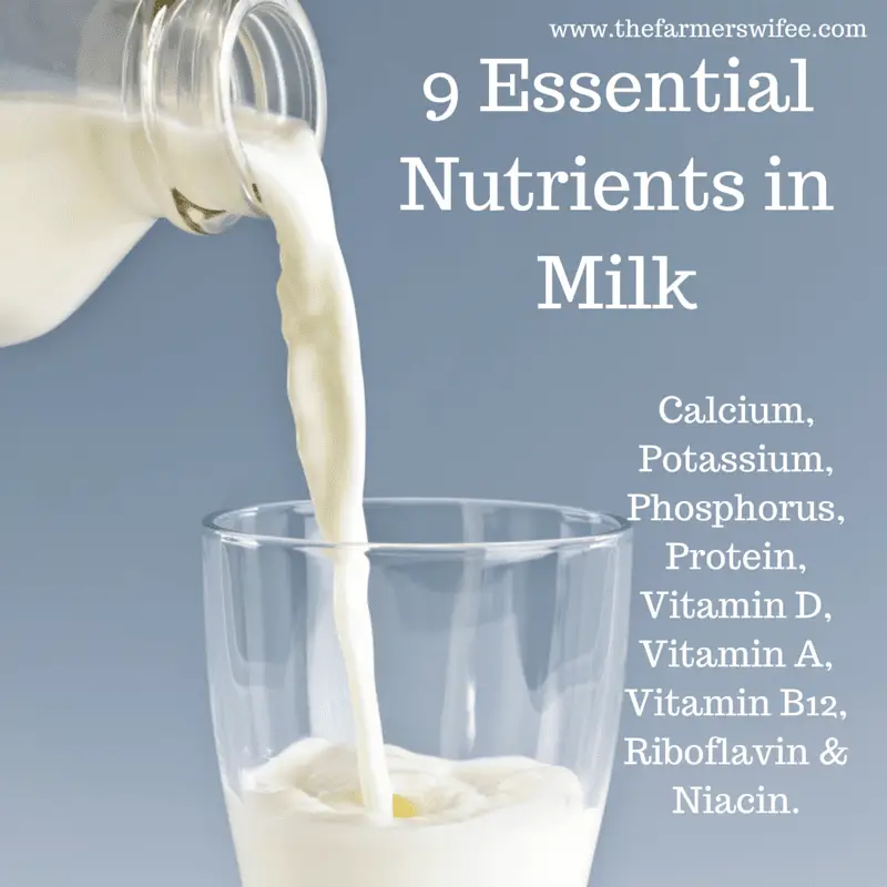 what-vitamins-does-milk-have-vitaminproguide